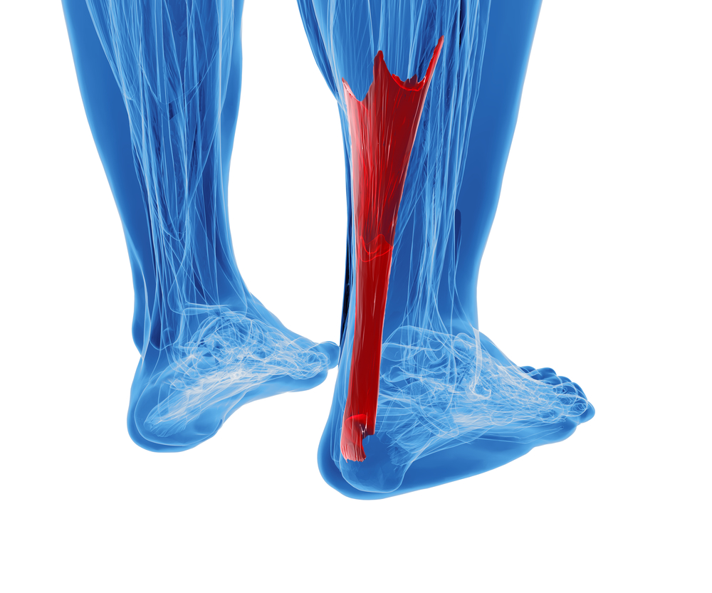 Tips To Improve Achilles Pain Transform Fitness